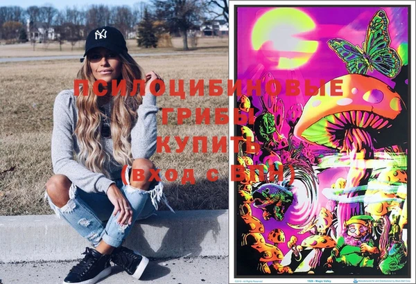 PSILOCYBIN Алексин