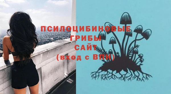 героин Алзамай