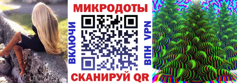 Галлюциногенные грибы Psilocybe Гаджиево